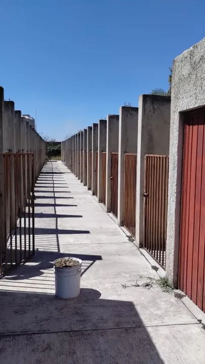 Foto 8 de Terreno en venta, Kilometro 10 Carretera a San Isidro Mazatepec, Tlajomulco de Zuñiga, Jal.