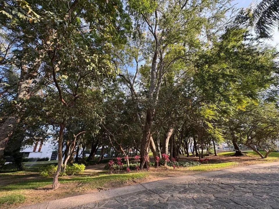 Foto 4 de TERRENO EN VENTA DENTRO DE COTO EN CAÑADAS