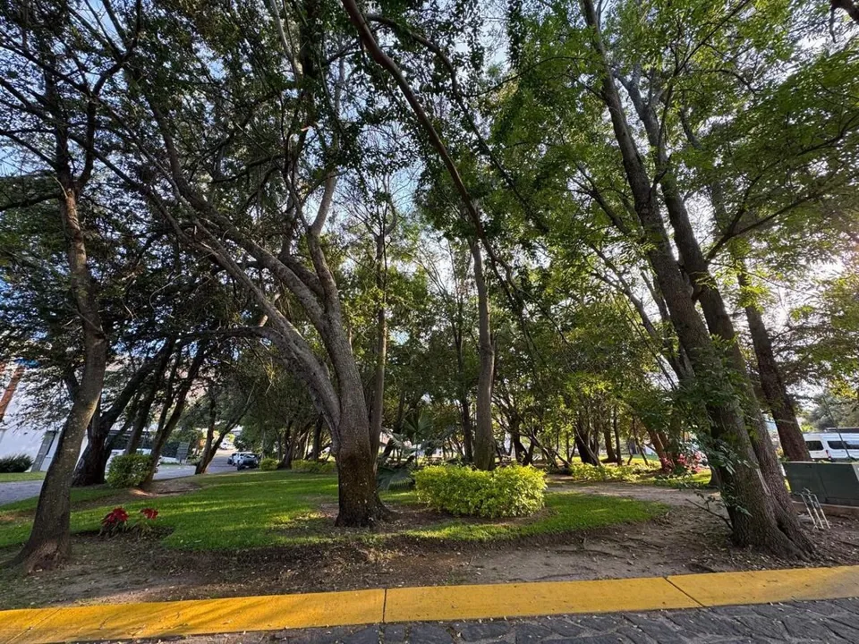 Foto 5 de TERRENO EN VENTA DENTRO DE COTO EN CAÑADAS