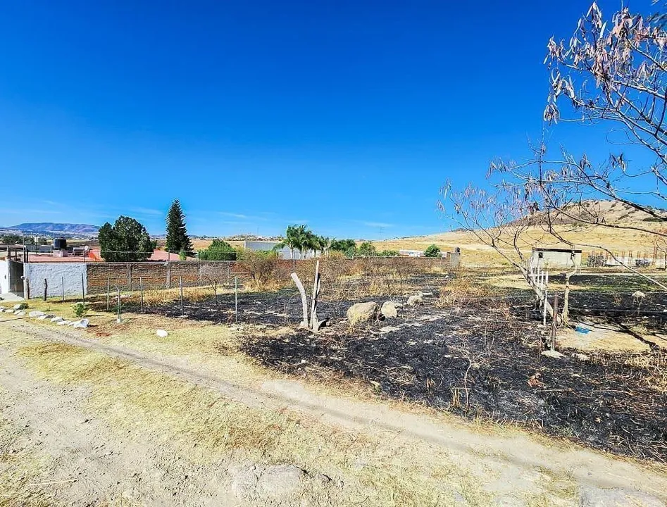 Foto 5 de Terreno en VENTA en Lomas de Tesistán, Zapopan