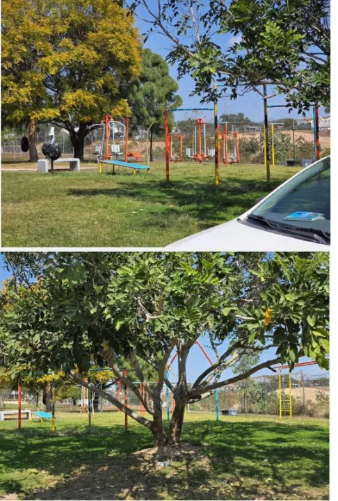Foto 7 de Casa en venta en Prolongación Río Blanco, Bosques Del Centinela, Zapopan