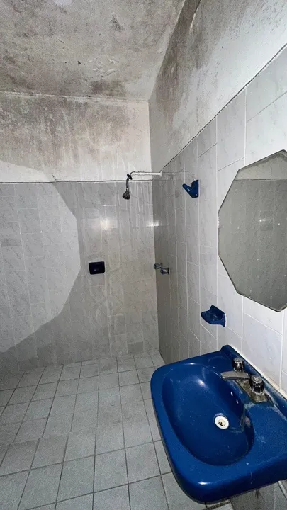 Foto 8 de FINCA COMERCIAL EN VENTA – SANTA TERE