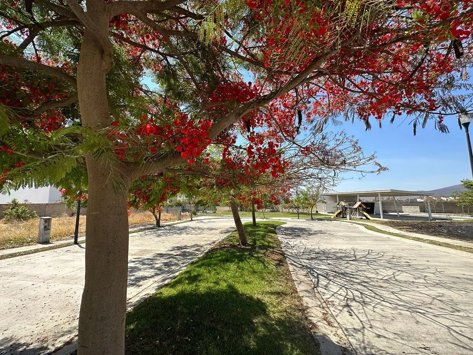 TERRENO EN VENTA EN MILLAN, SANTA ANITA