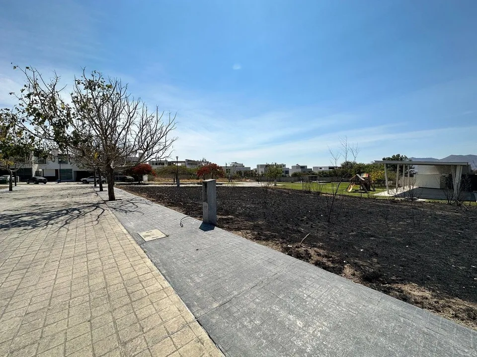 Foto 2 de TERRENO EN VENTA EN MILLAN, SANTA ANITA