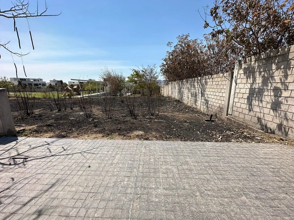 Foto 3 de TERRENO EN VENTA EN MILLAN, SANTA ANITA