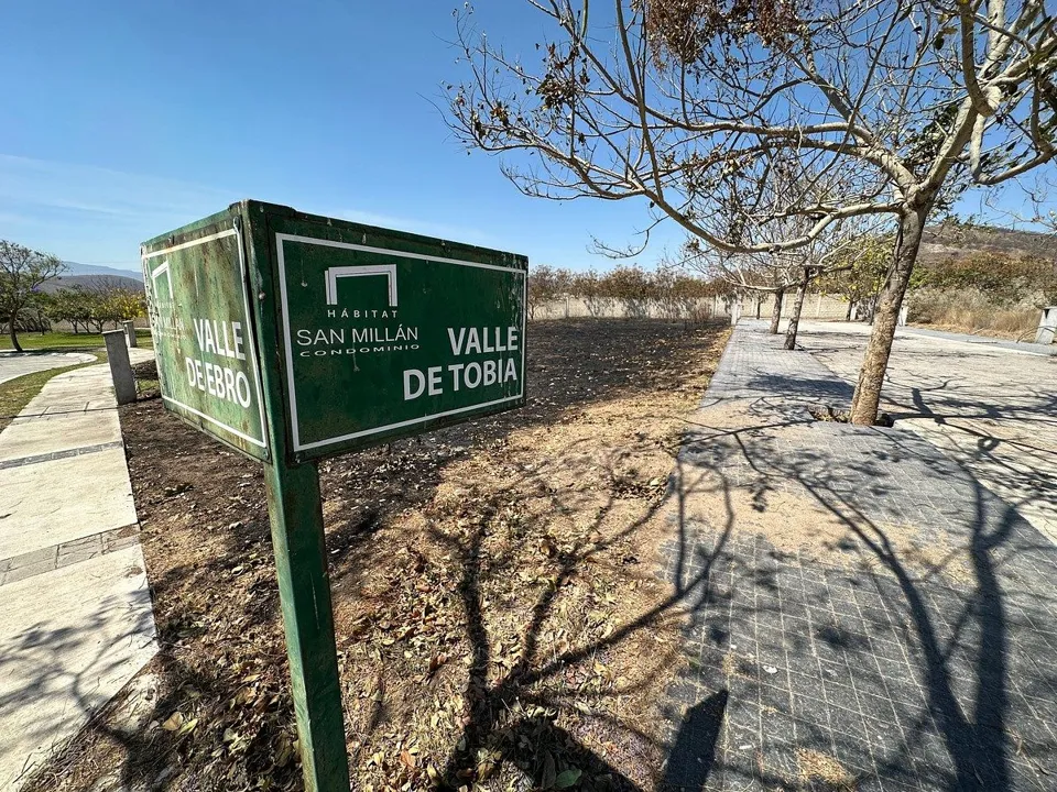 Foto 4 de TERRENO EN VENTA EN MILLAN, SANTA ANITA