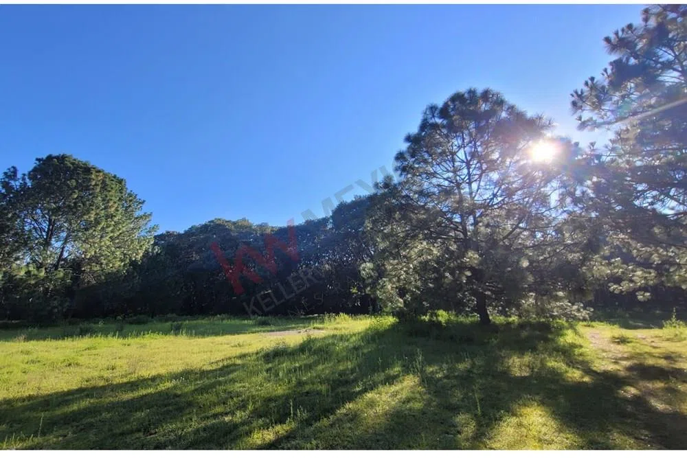 Venta  de Terreno en el Bosque de la Primavera En Jalisco Lote 7
