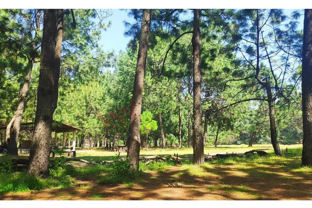 Foto 6 de Venta  de Terreno en el Bosque de la Primavera En Jalisco Lote 7