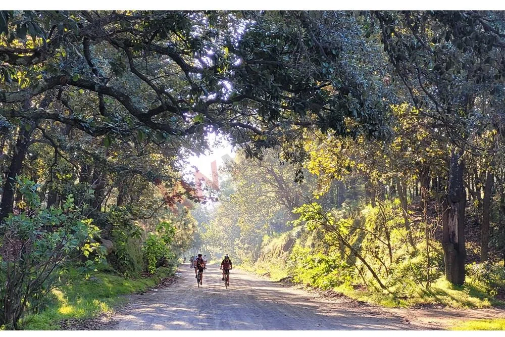 Foto 7 de Venta  de Terreno en el Bosque de la Primavera En Jalisco Lote 7