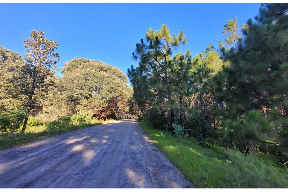 Foto 8 de Venta  de Terreno en el Bosque de la Primavera En Jalisco Lote 7