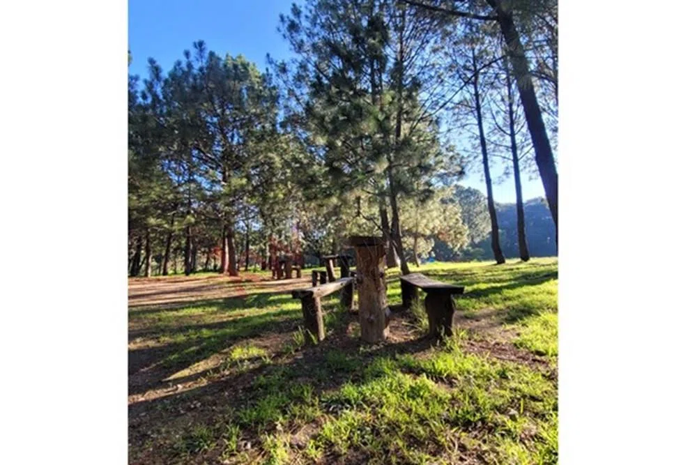 Foto 9 de Venta  de Terreno en el Bosque de la Primavera En Jalisco Lote 7