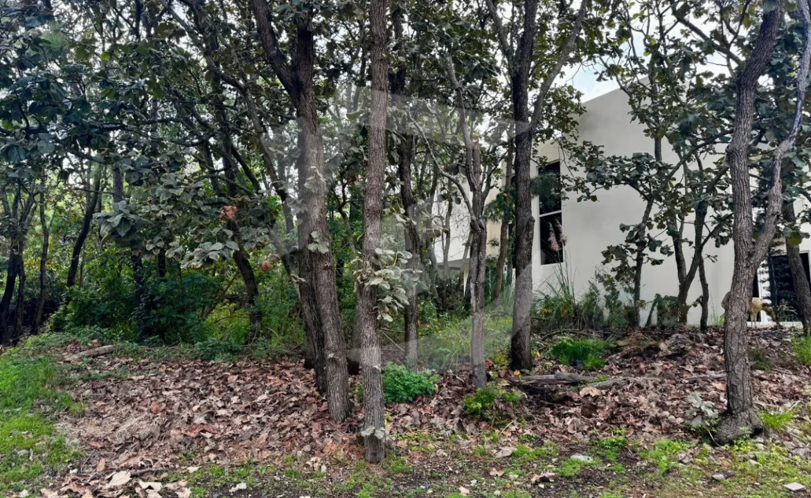 Foto 3 de Terreno en venta en El Cielo Country Club