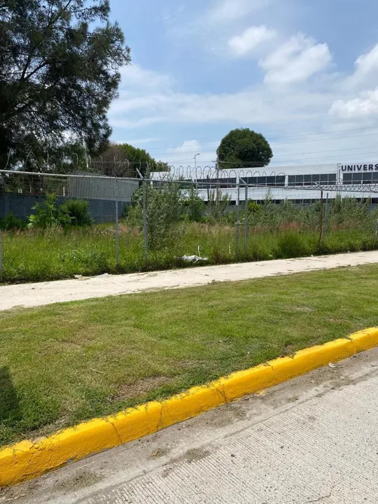 Foto 3 de Terreno en renta , San Juan de Ocotan , Zapopan ,Jalisco