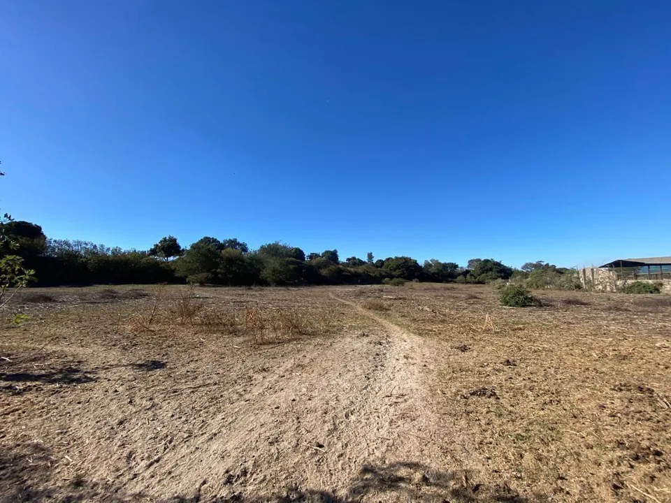 Foto 2 de Terreno industrial en venta con ubicación estratégica