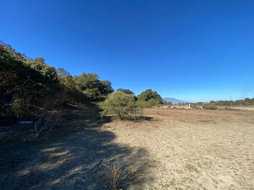 Foto 3 de Terreno industrial en venta con ubicación estratégica
