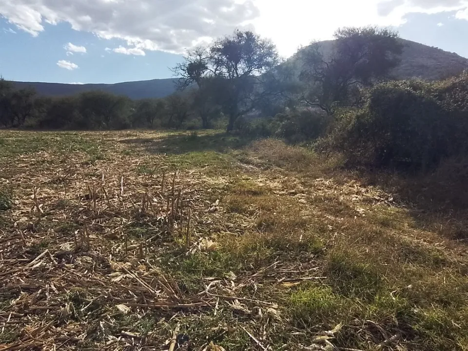 Foto 3 de Terreno en Venta en Circuito Metropolitano Sur - Cuexcomatitlan