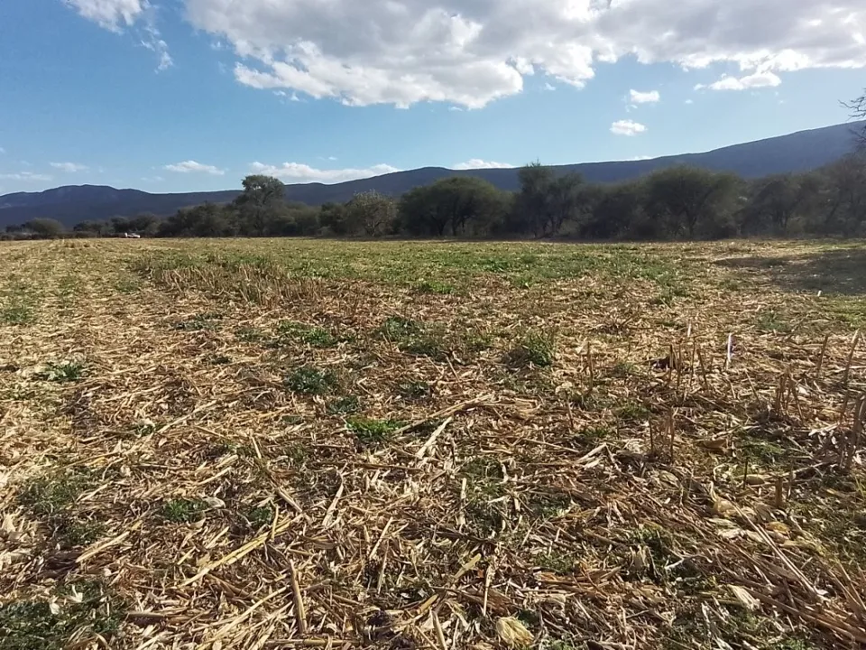Foto 7 de Terreno en Venta en Circuito Metropolitano Sur - Cuexcomatitlan