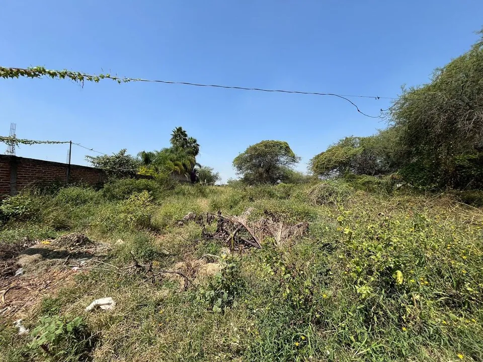 Foto 3 de Terreno en Venta en El Zapote, Aeropuerto
