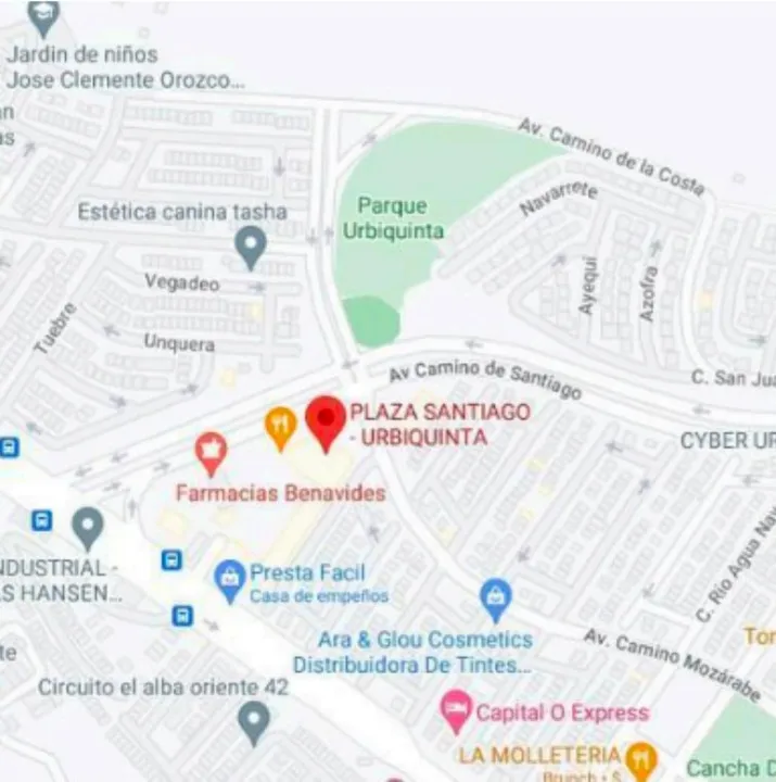 Foto 3 de Local Comercial en venta en  Av. Real a Santiago y Camino a Matatlan , COYULA, TONALA