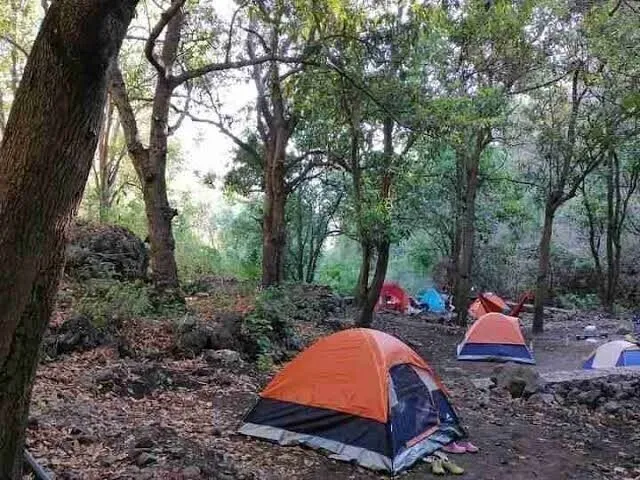 Foto 7 de TERRENO EN VENTA COL. MILPILLAS MESA DE SAN JUAN, ZAPOPAN, JAL.