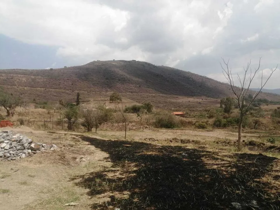 Foto 2 de Terreno en venta en El Calvario, Tlajomulco