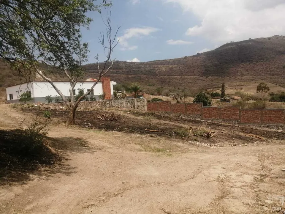Foto 4 de Terreno en venta en El Calvario, Tlajomulco