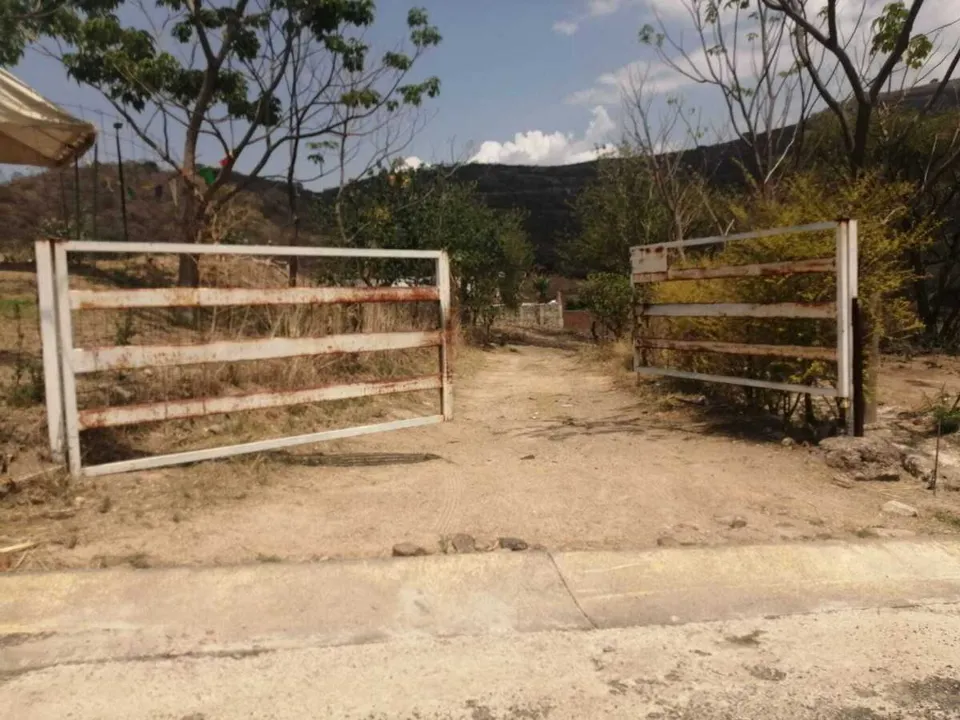 Foto 6 de Terreno en venta en El Calvario, Tlajomulco