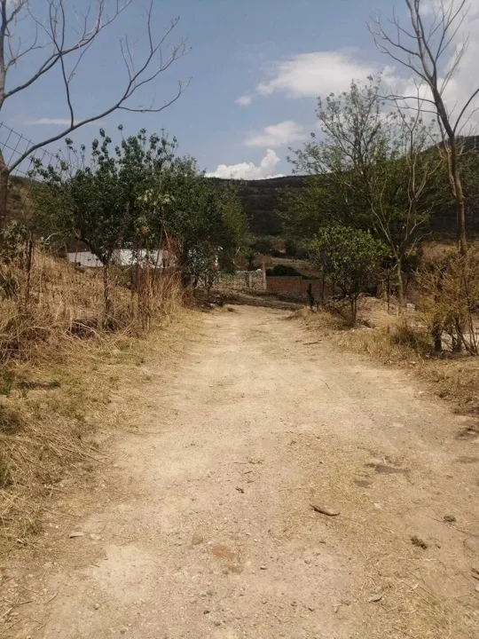 Foto 7 de Terreno en venta en El Calvario, Tlajomulco