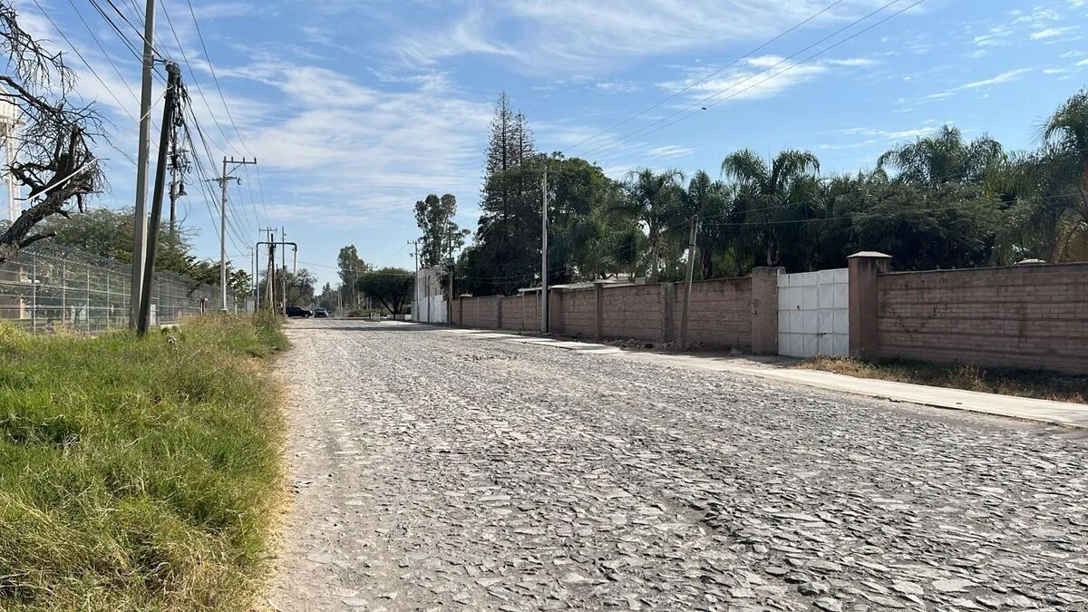 Foto 2 de TERRENO INDUSTRIAL EN VENTA, El Zapote Jalisco