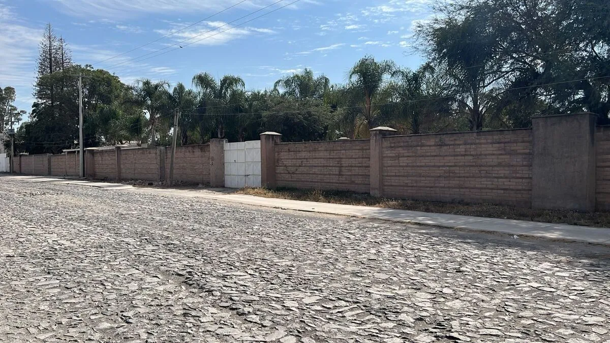 Foto 4 de TERRENO INDUSTRIAL EN VENTA, El Zapote Jalisco