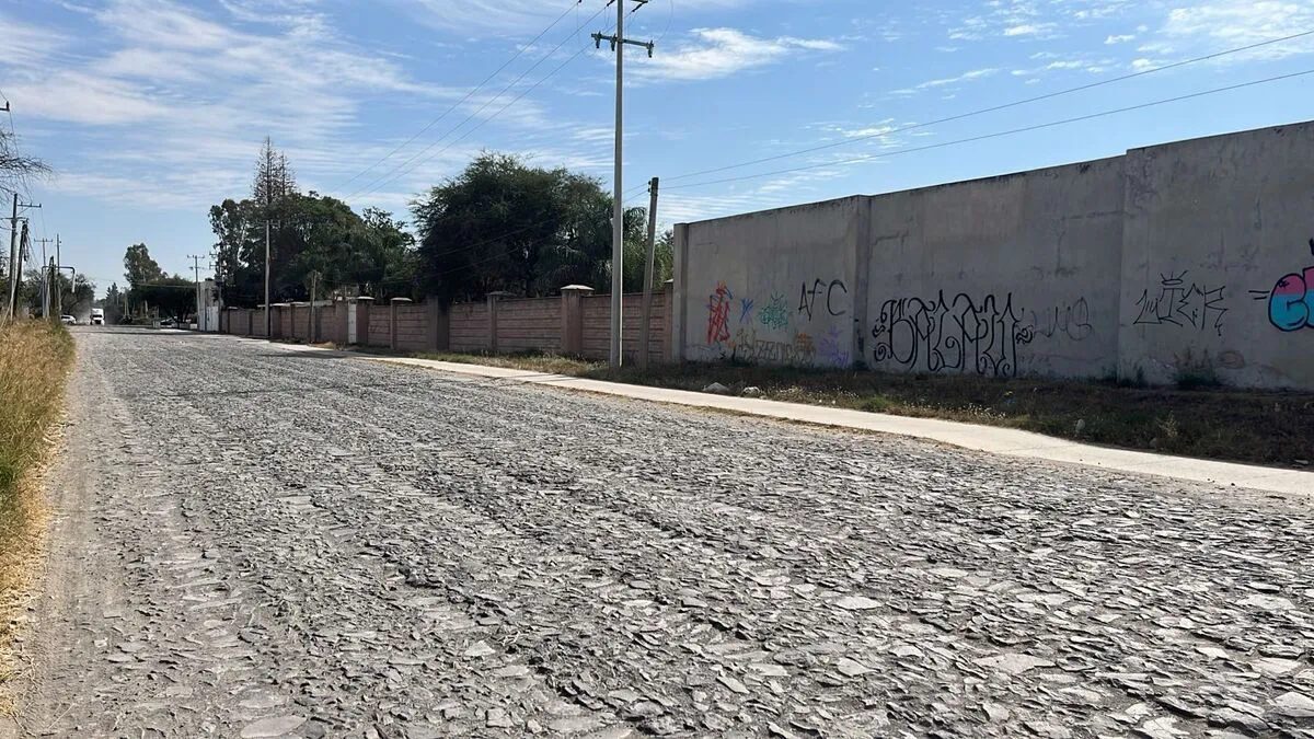Foto 5 de TERRENO INDUSTRIAL EN VENTA, El Zapote Jalisco