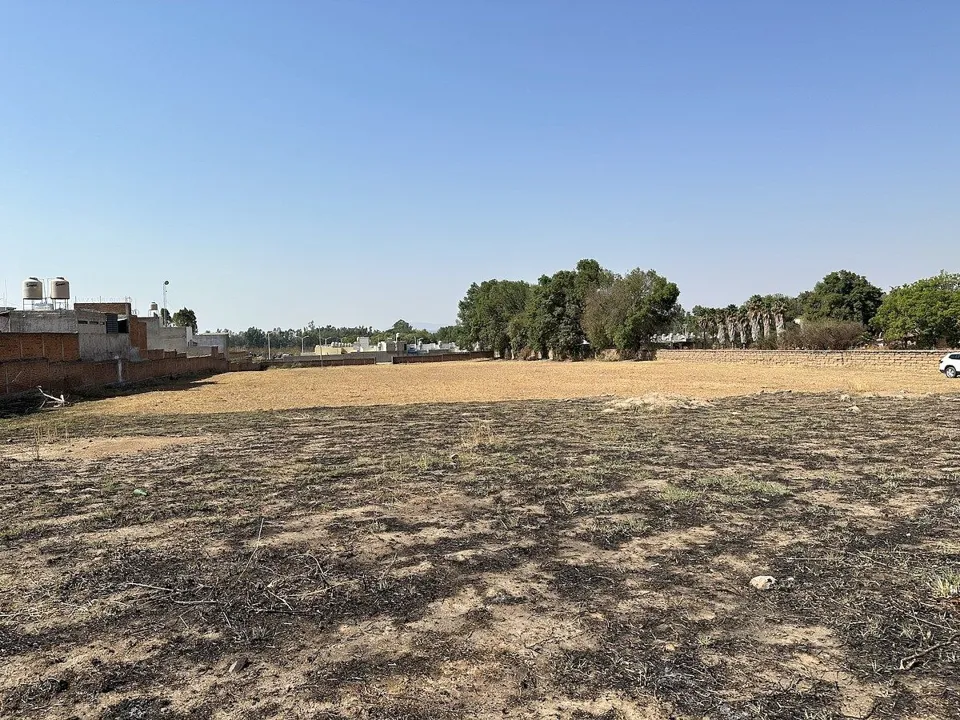 Foto 8 de Terreno plano a 7 minutos del Centro de Tesistán