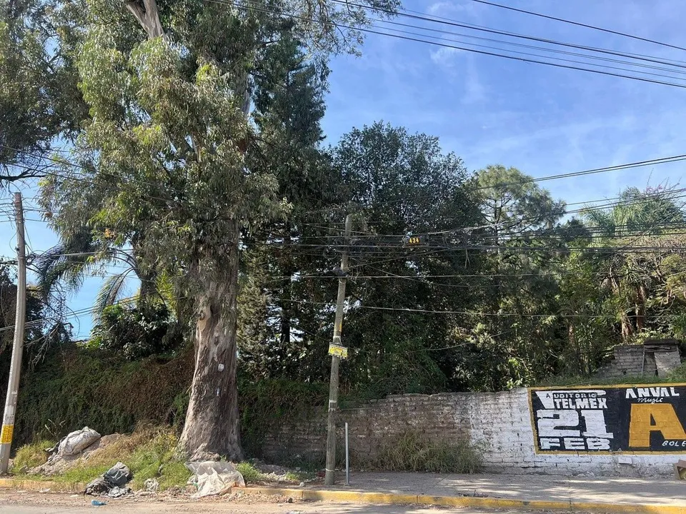 Foto 2 de TERRENO EN VENTA EN LA TIJERA