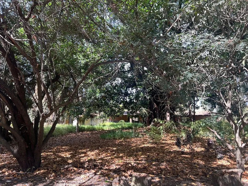 Foto 3 de TERRENO EN VENTA EN LA TIJERA