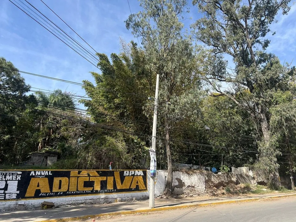 Foto 4 de TERRENO EN VENTA EN LA TIJERA