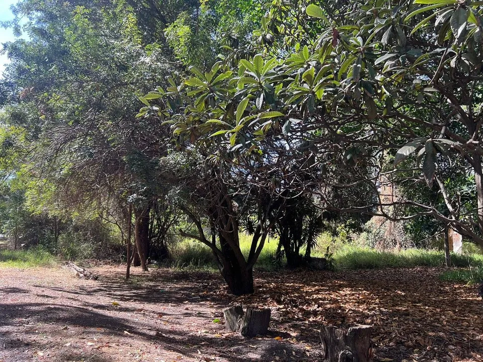 Foto 5 de TERRENO EN VENTA EN LA TIJERA