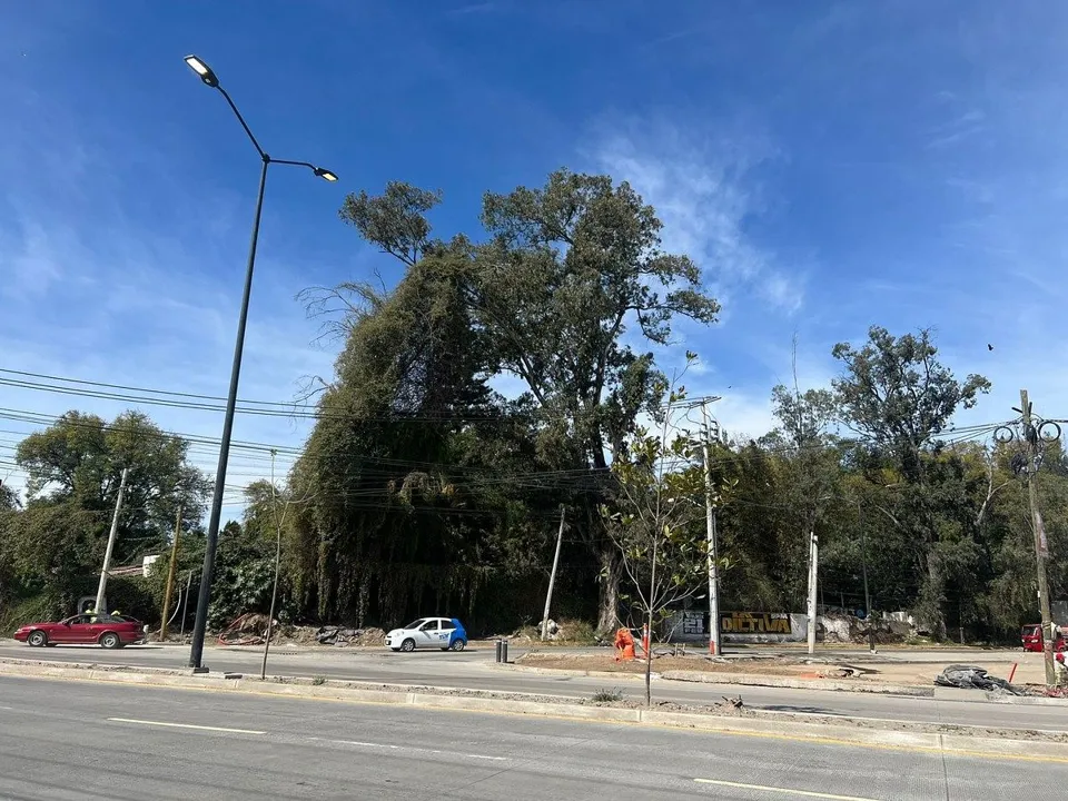Foto 6 de TERRENO EN VENTA EN LA TIJERA