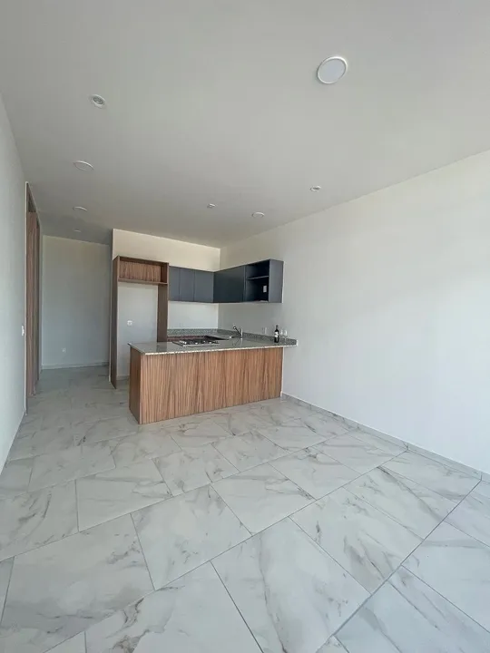 Foto 3 de DEPARTAMENTO EN RENTA EN CIUDAD GRANJA
