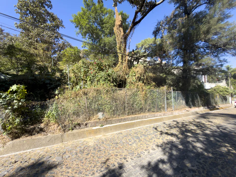 Foto 4 de Terreno en Venta en Pinar de la Venta, Zapopan