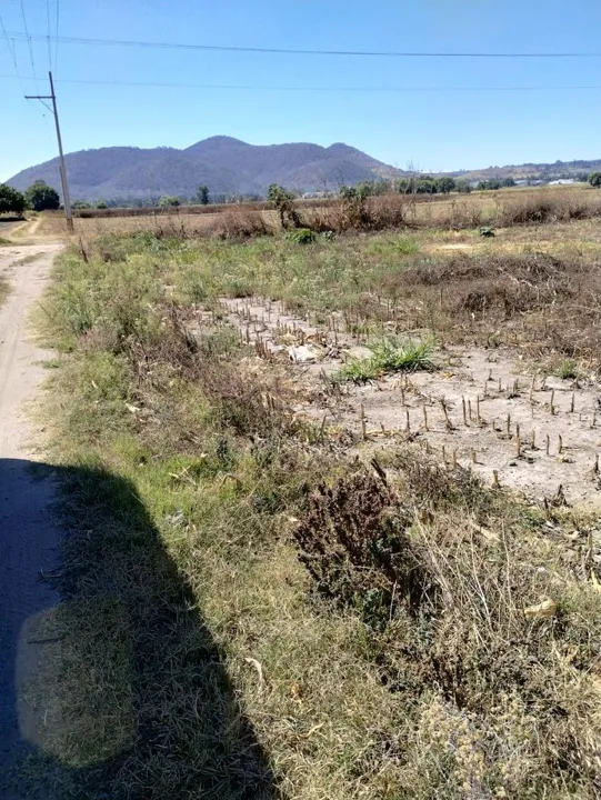 Foto 2 de Terreno Rustico en Venta Santa Cruz de las Flores, Tlajomulco de Zúñiga,  Jalisco.