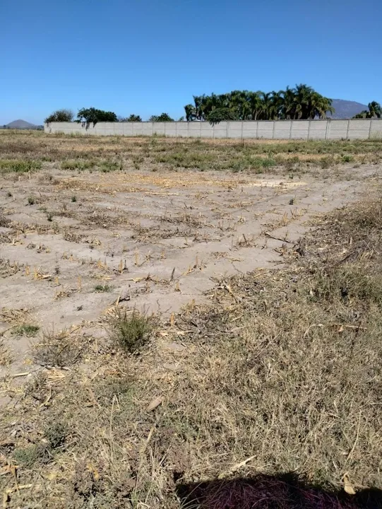 Foto 3 de Terreno Rustico en Venta Santa Cruz de las Flores, Tlajomulco de Zúñiga,  Jalisco.