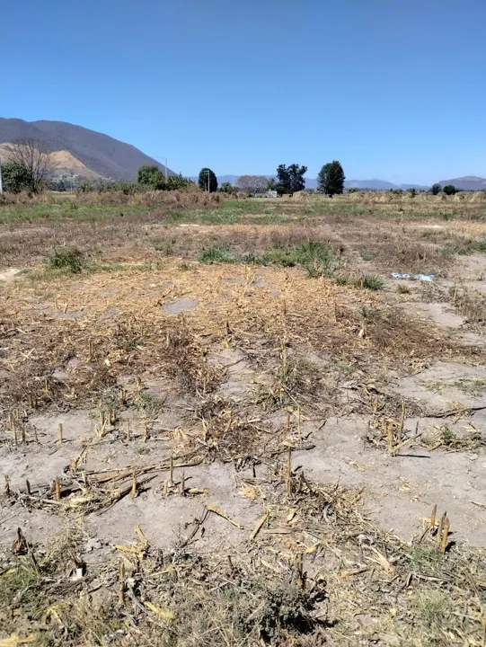 Foto 4 de Terreno Rustico en Venta Santa Cruz de las Flores, Tlajomulco de Zúñiga,  Jalisco.
