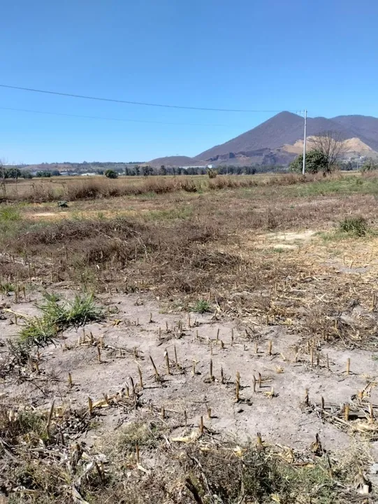 Foto 5 de Terreno Rustico en Venta Santa Cruz de las Flores, Tlajomulco de Zúñiga,  Jalisco.