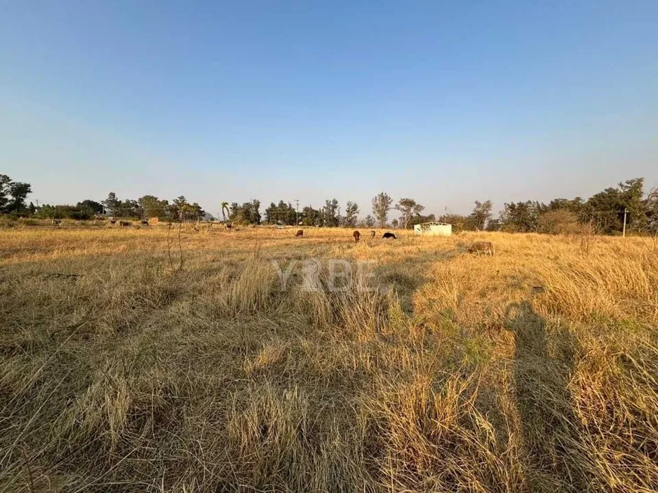 Terreno en venta sobre Carretera Colotlán
