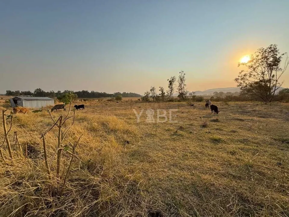 Foto 2 de Terreno en venta sobre Carretera Colotlán