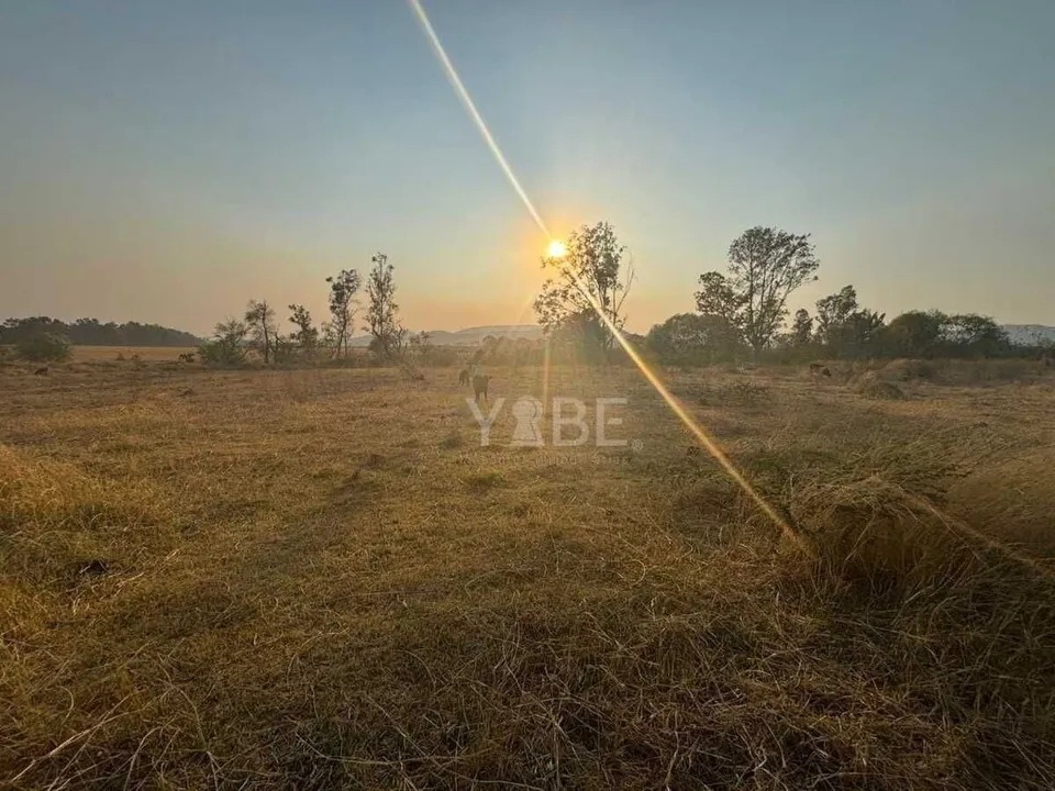 Foto 3 de Terreno en venta sobre Carretera Colotlán