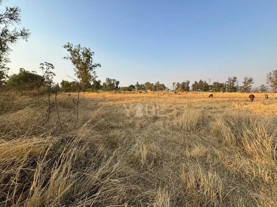 Foto 4 de Terreno en venta sobre Carretera Colotlán