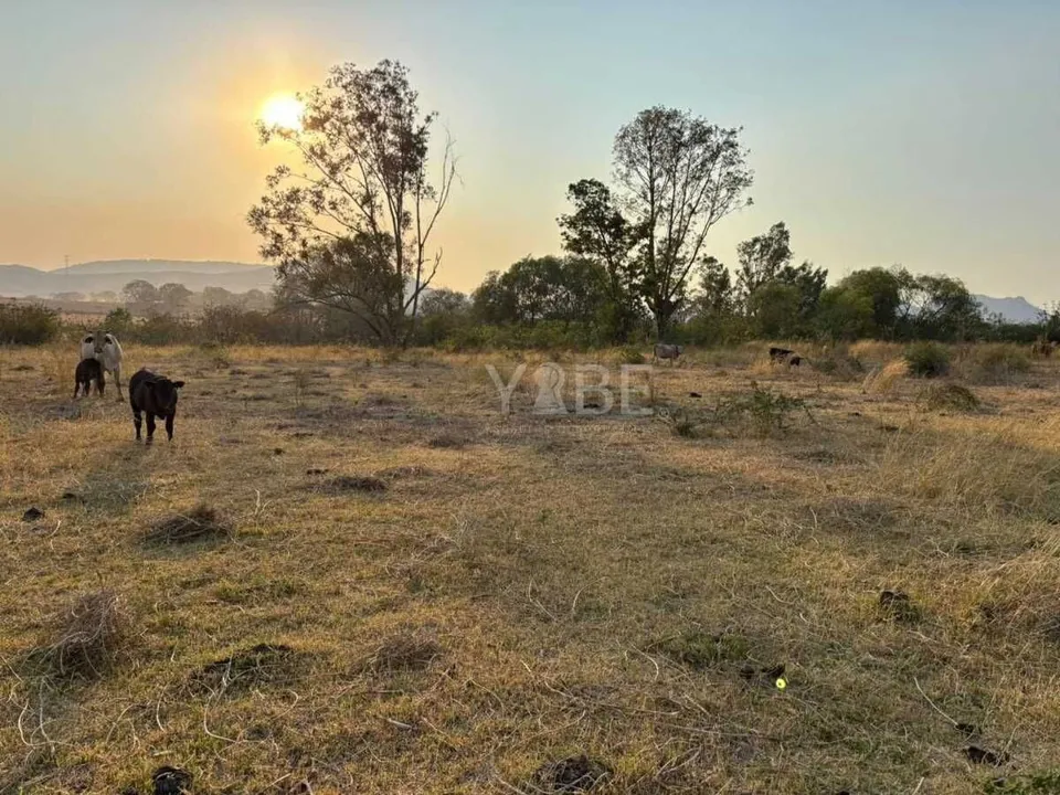 Foto 5 de Terreno en venta sobre Carretera Colotlán