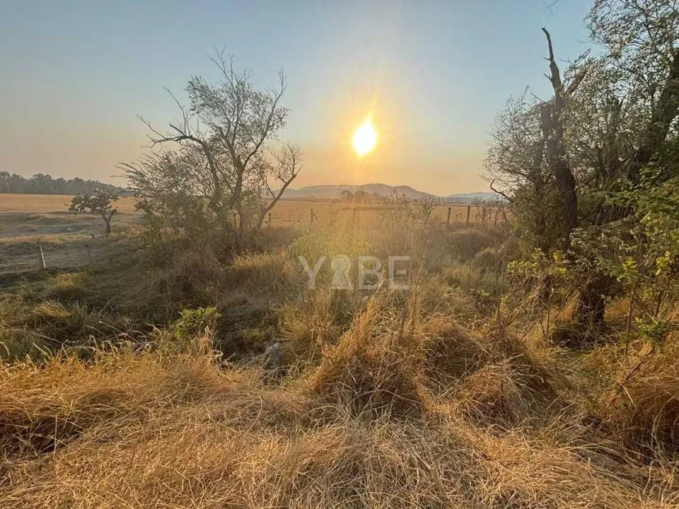 Foto 6 de Terreno en venta sobre Carretera Colotlán