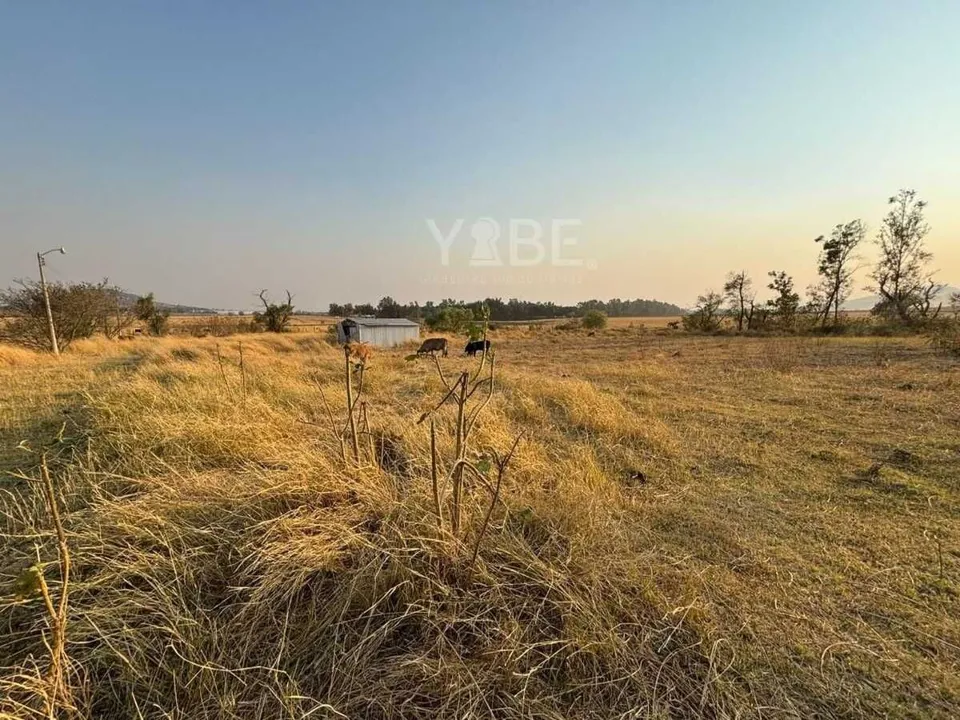 Foto 7 de Terreno en venta sobre Carretera Colotlán